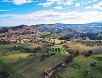 paesaggio marchigiano