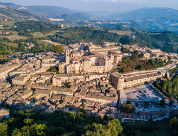 urbino